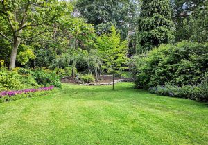 Optimiser l'expérience du jardin à Montblanc